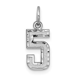 14k White Gold, Varsity Collection, Small D/C Pendant, Number 5
